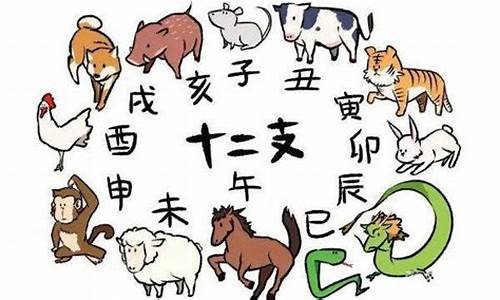 亥猪和戌狗的区别是什么_亥猪和戌狗的区别