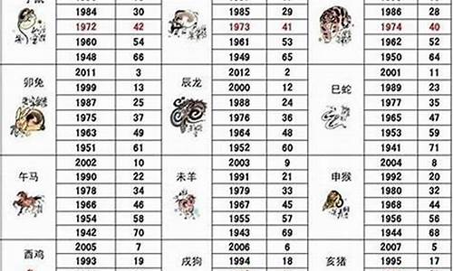 属相运势2025年生肖运程详解大全女孩_2025年运势12生肖运势